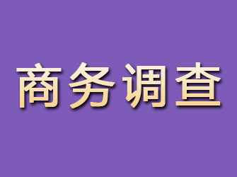 淳化商务调查